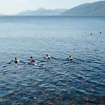 1 Loch Ness Heights