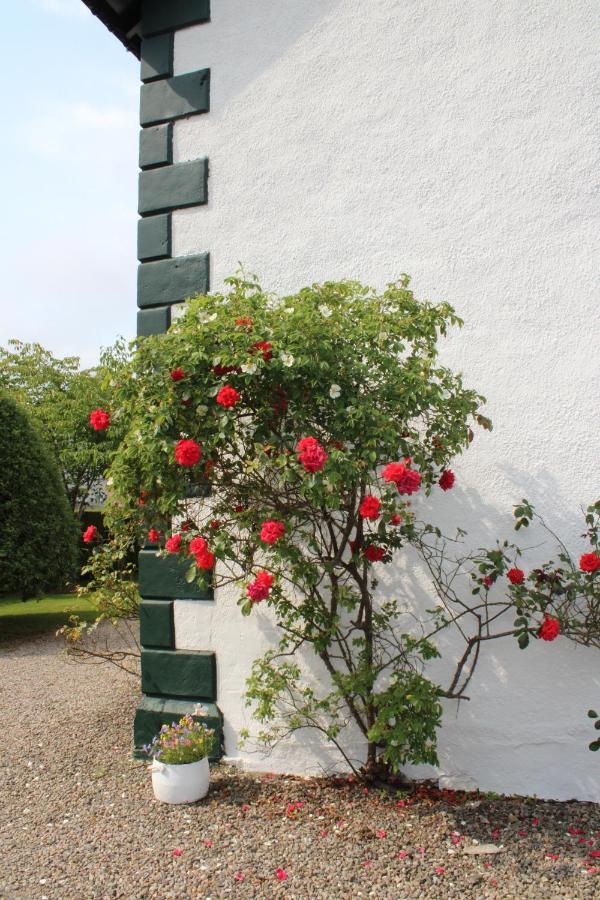 Moyness House 4*