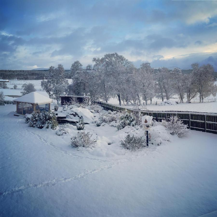 Homestay The Willows Inverness