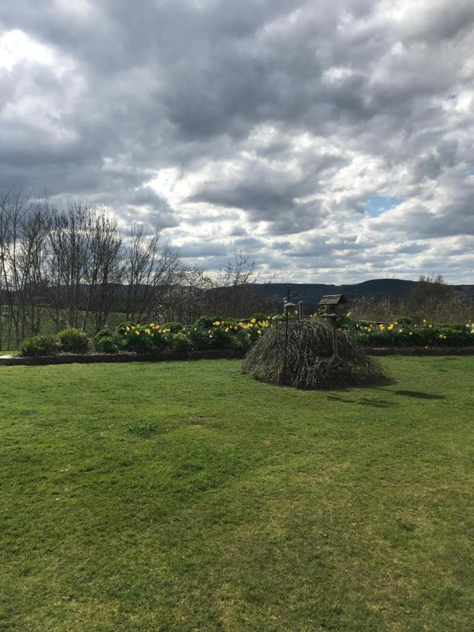 Druid View Bed & Breakfast *