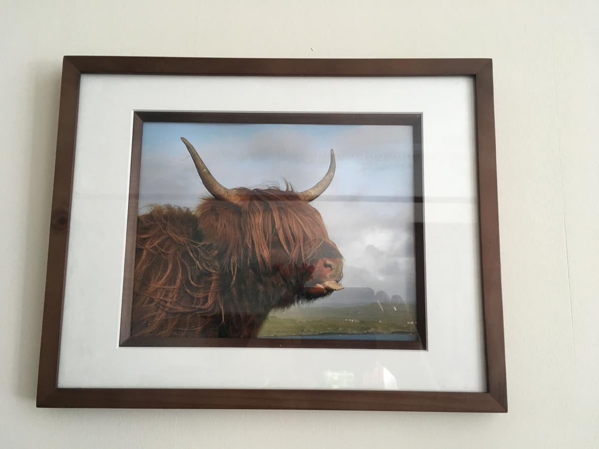 Kinnoch 3*