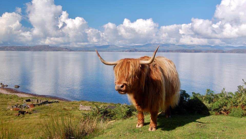 Kinnoch