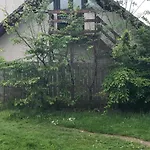 The Tree House
