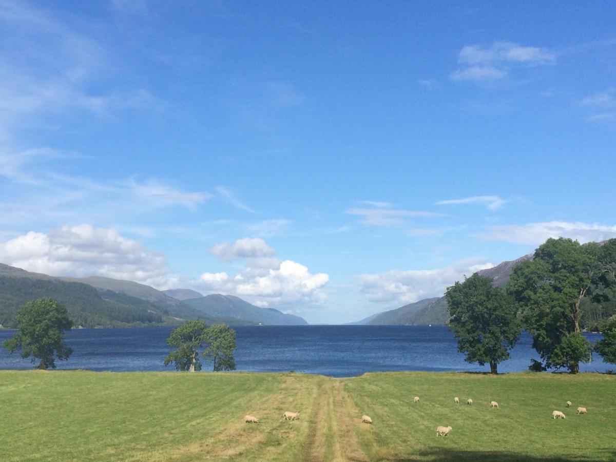 The Wee * Inverness