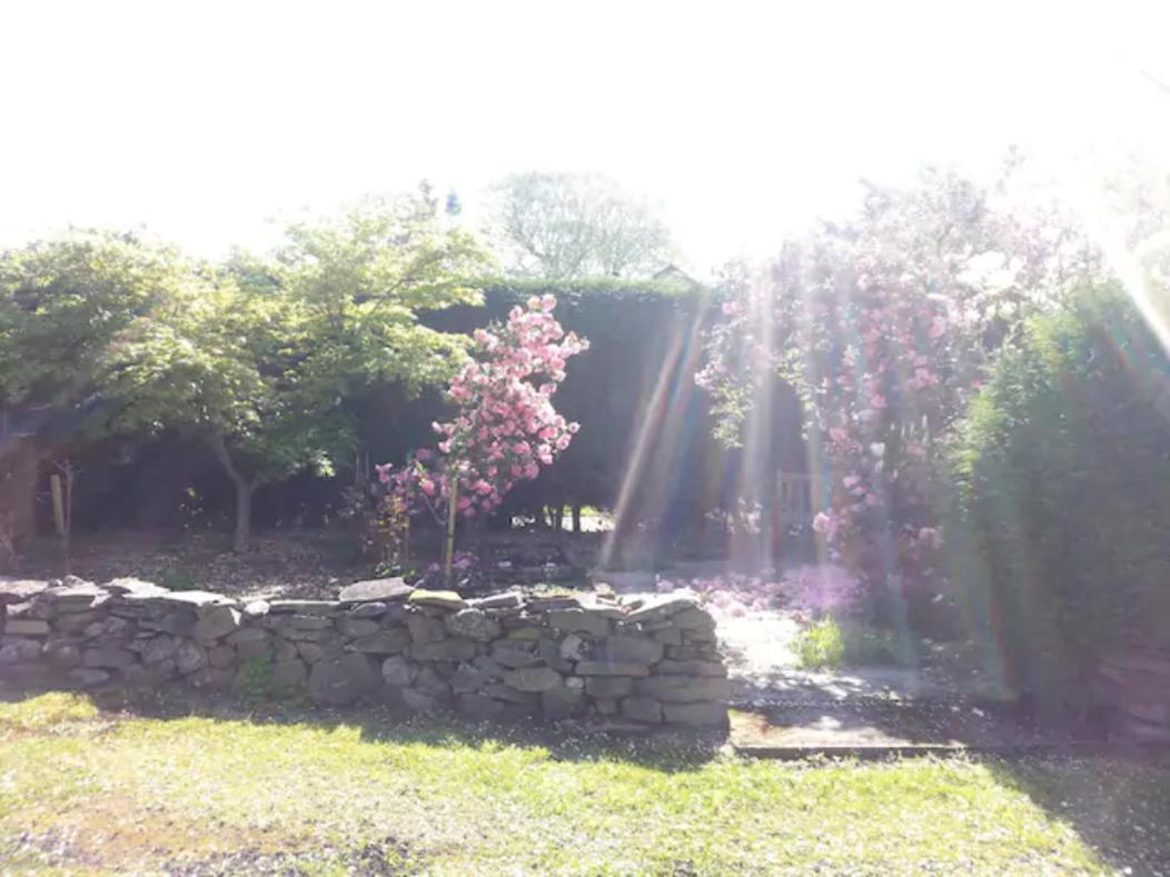 Comforts In Peaceful 2 Acres Holiday home Inverness