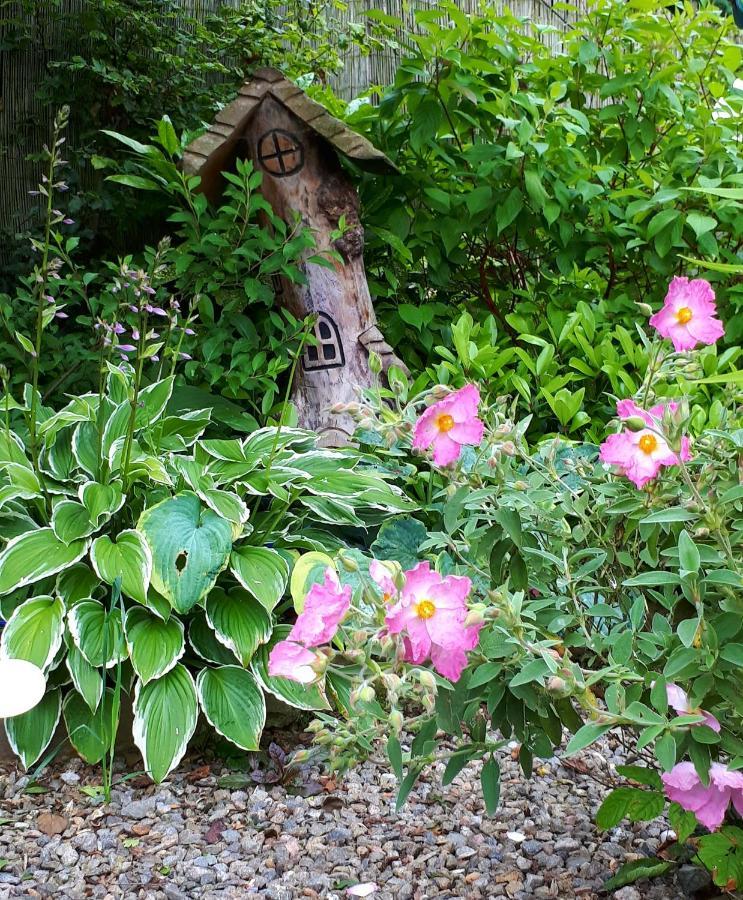 Bed & Breakfast Lycia +