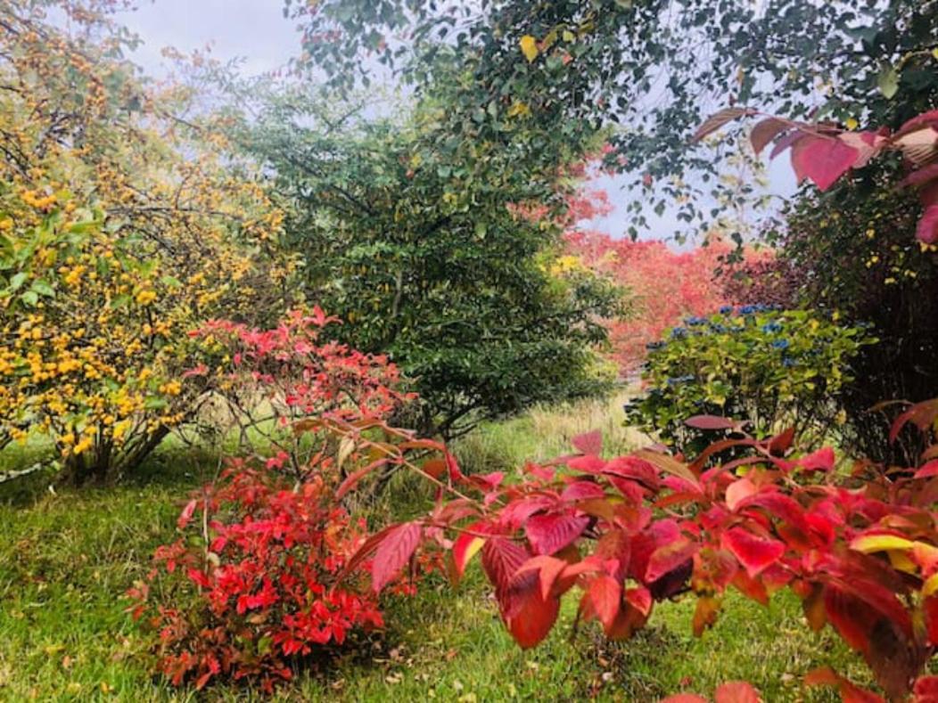 Comforts In Peaceful 2 Acres * Inverness