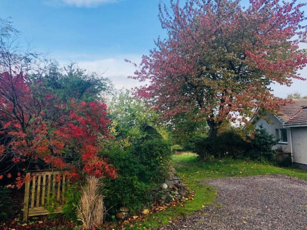 Comforts In Peaceful 2 Acres *