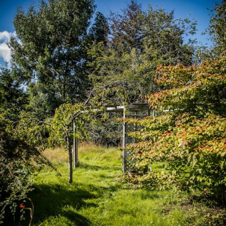Comforts In Peaceful 2 Acres