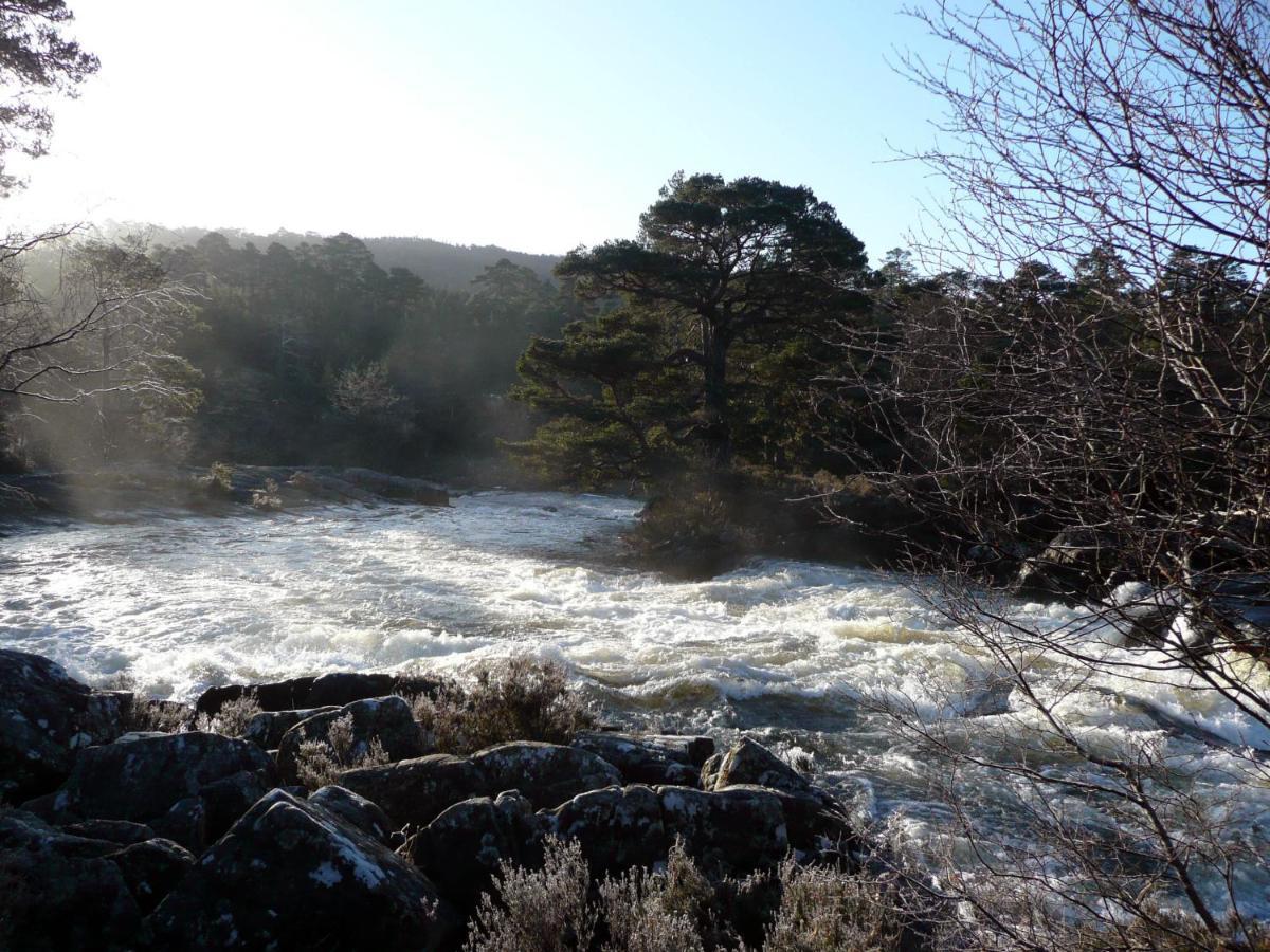 Apartment Birchgrove Holiday Apartment--- Free Wifi-- Inverness