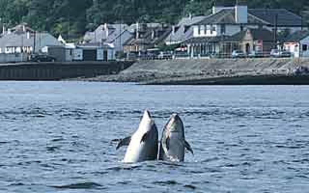 Hotel North Kessock Inverness