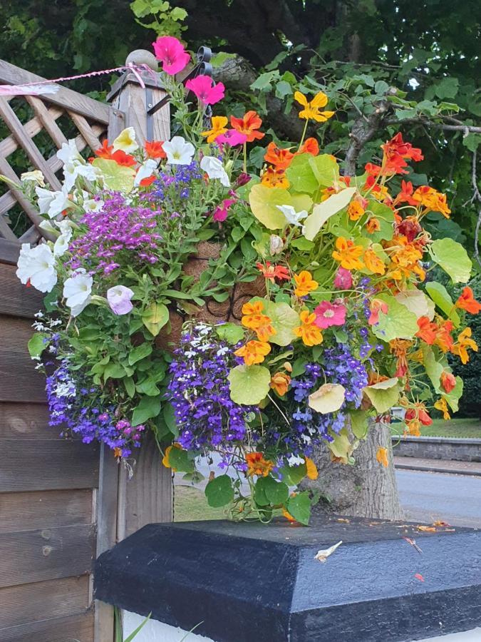 The Little Garden Hoose * Inverness