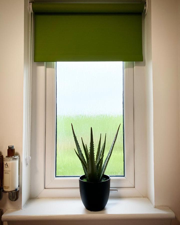 Apartamento Druid House *