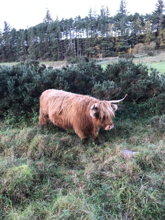 Bruce Inverness
