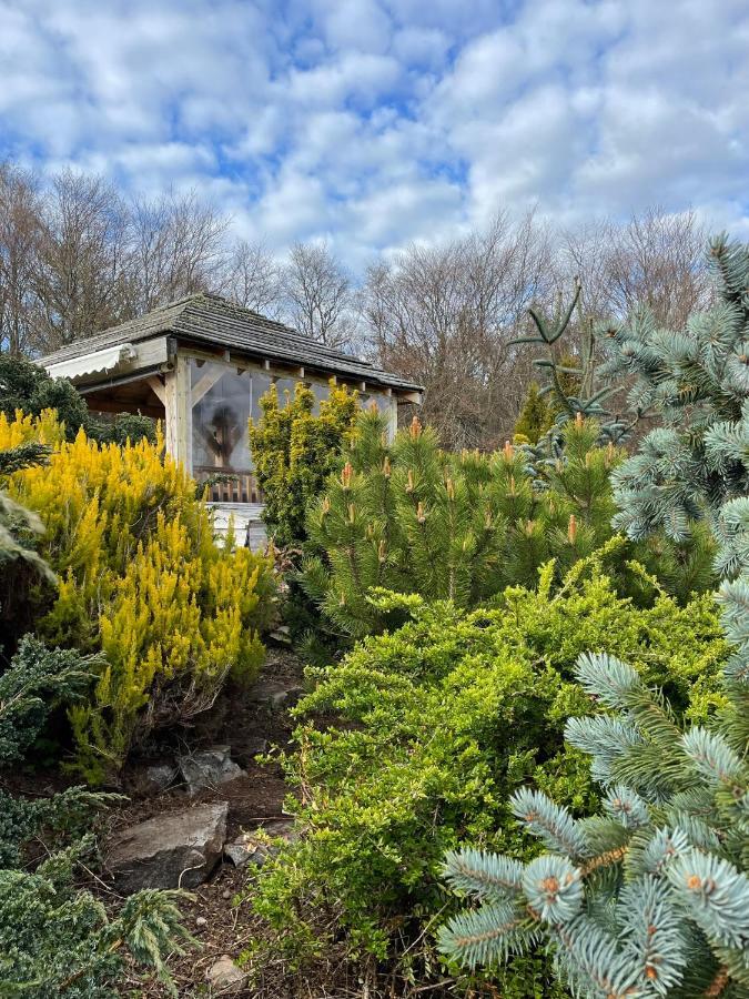Homestay The Willows