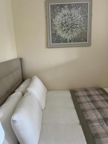 Waverley Flat Apartment *