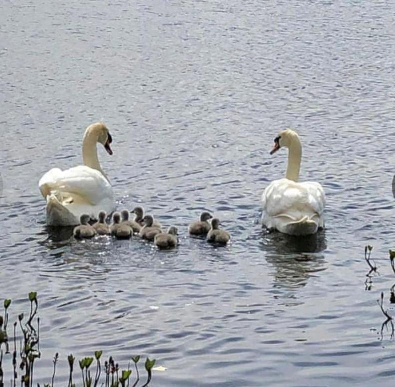 Drummond Neuk - Pets Welcome Free, Country Setting, Free Onsite Parking *