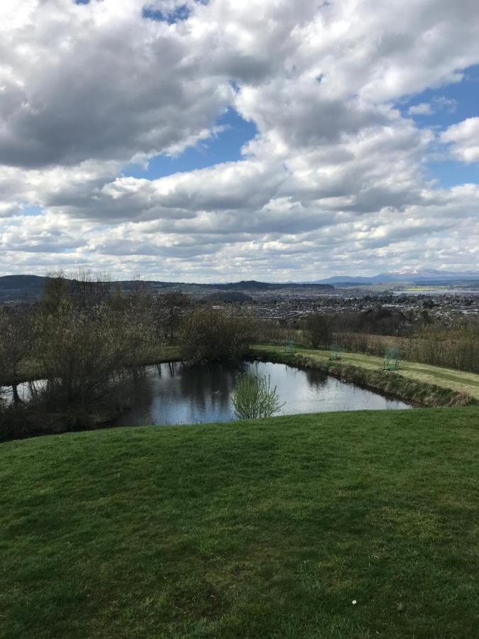 Druid View