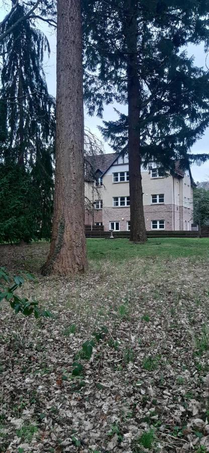 At Drummond Crescent