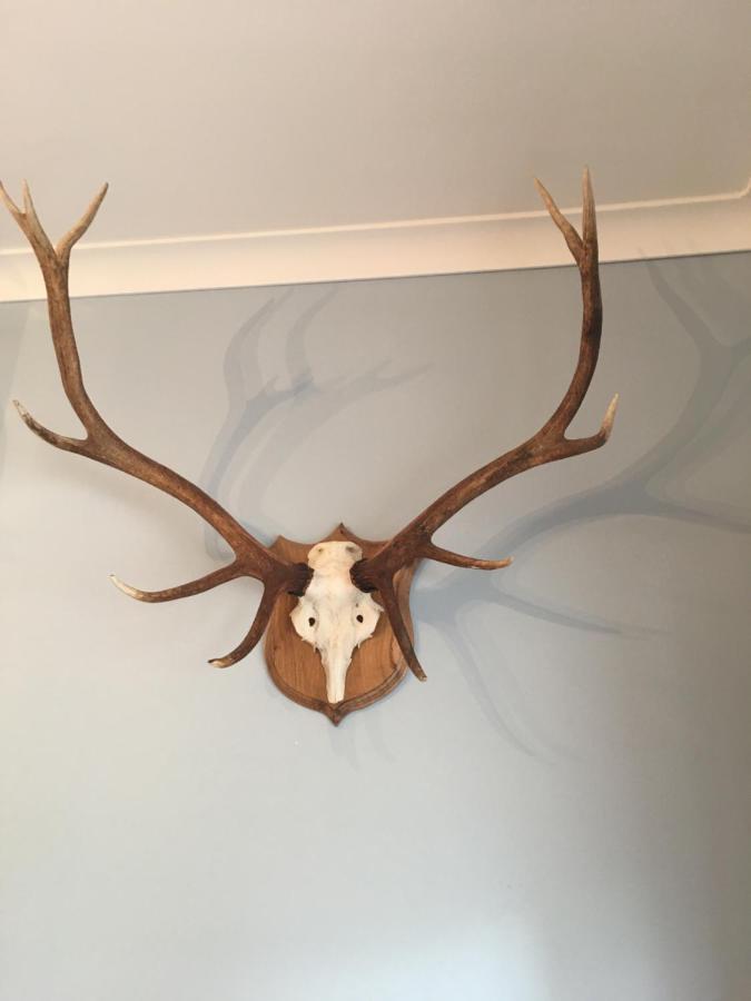The Guest At Daviot ,inverness * Inverness