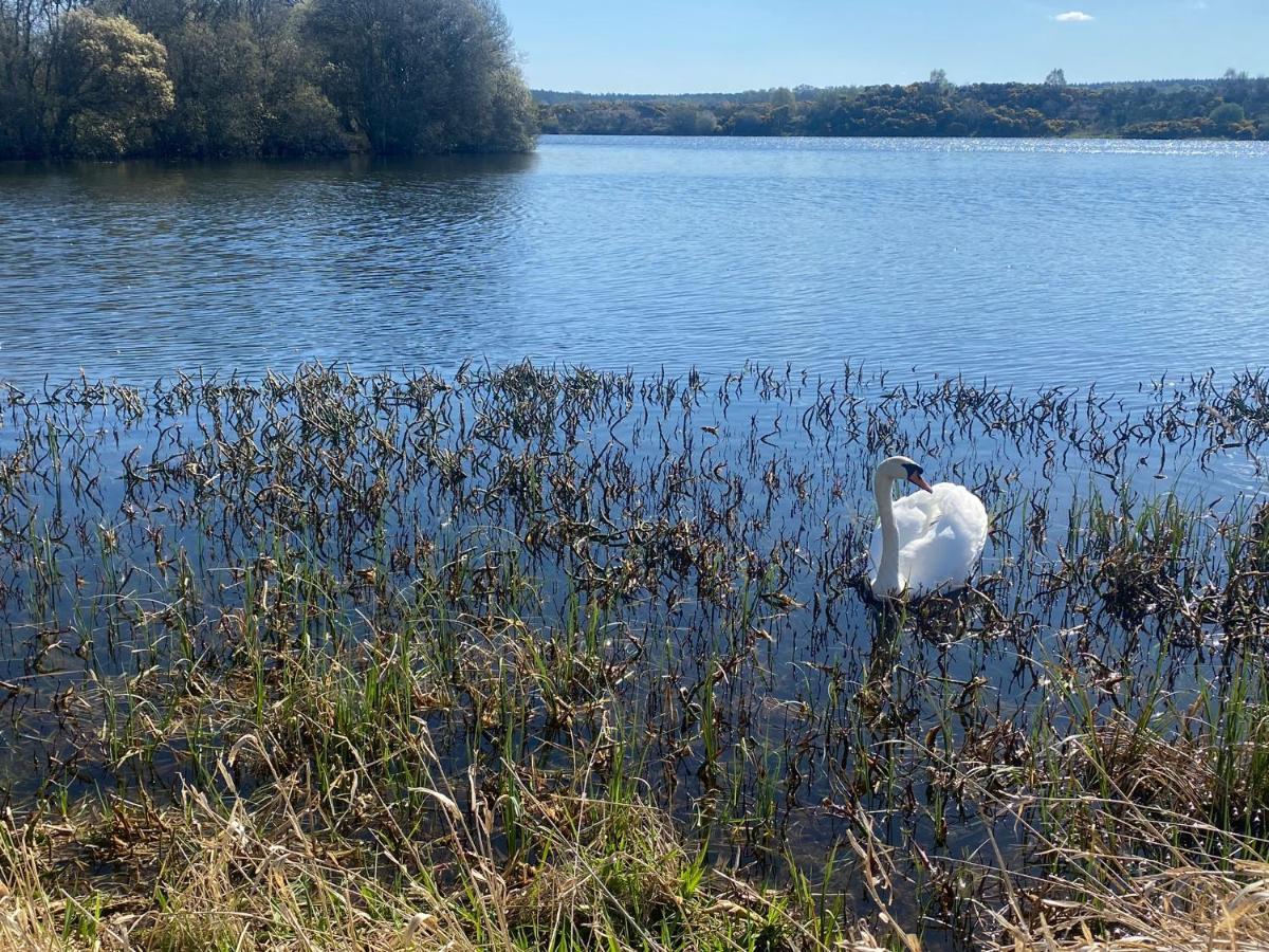 Apartamento Drummond Neuk - Pets Welcome Free, Country Setting, Free Onsite Parking Inverness