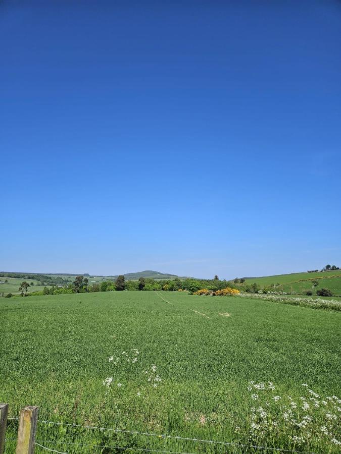 Hillhaven