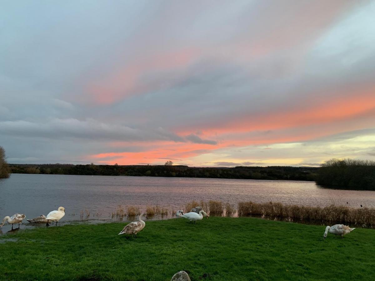Apartment Lochside Loft - Self Catering For 2 In A Great Location For Airport And Both Cabot Highlands & Nairn Golf Courses Inverness