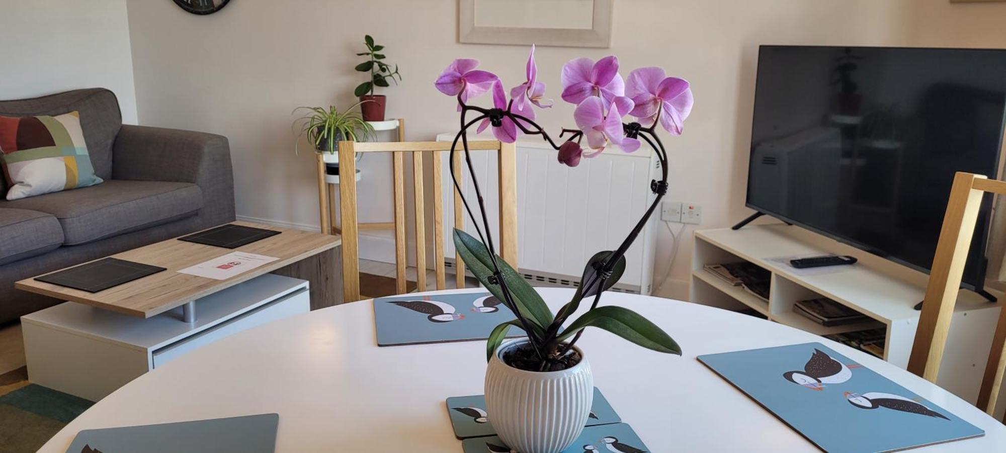 Apartamento Heart Of Inverness-city