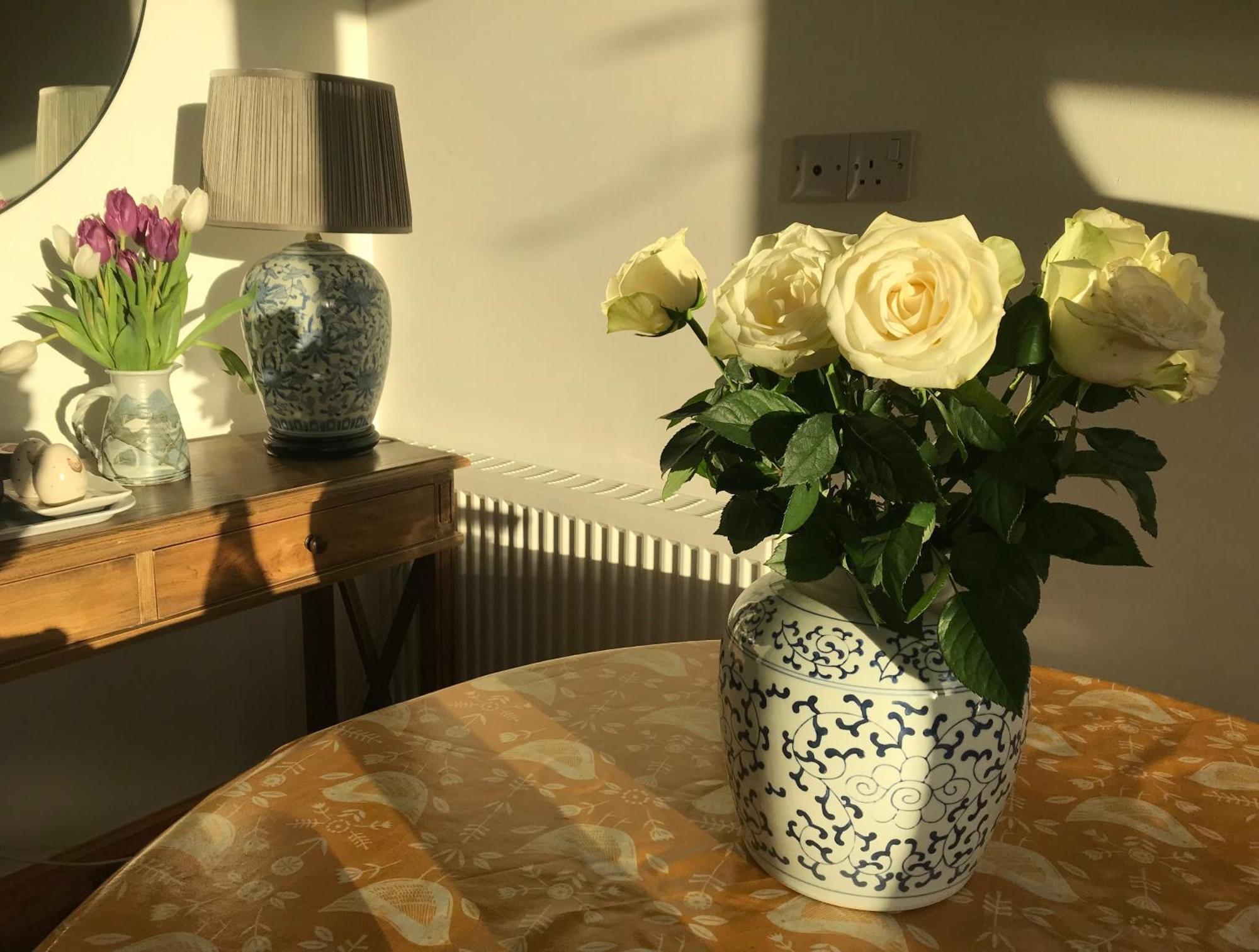 Apartment Quiet Garden With Free Parking Inverness