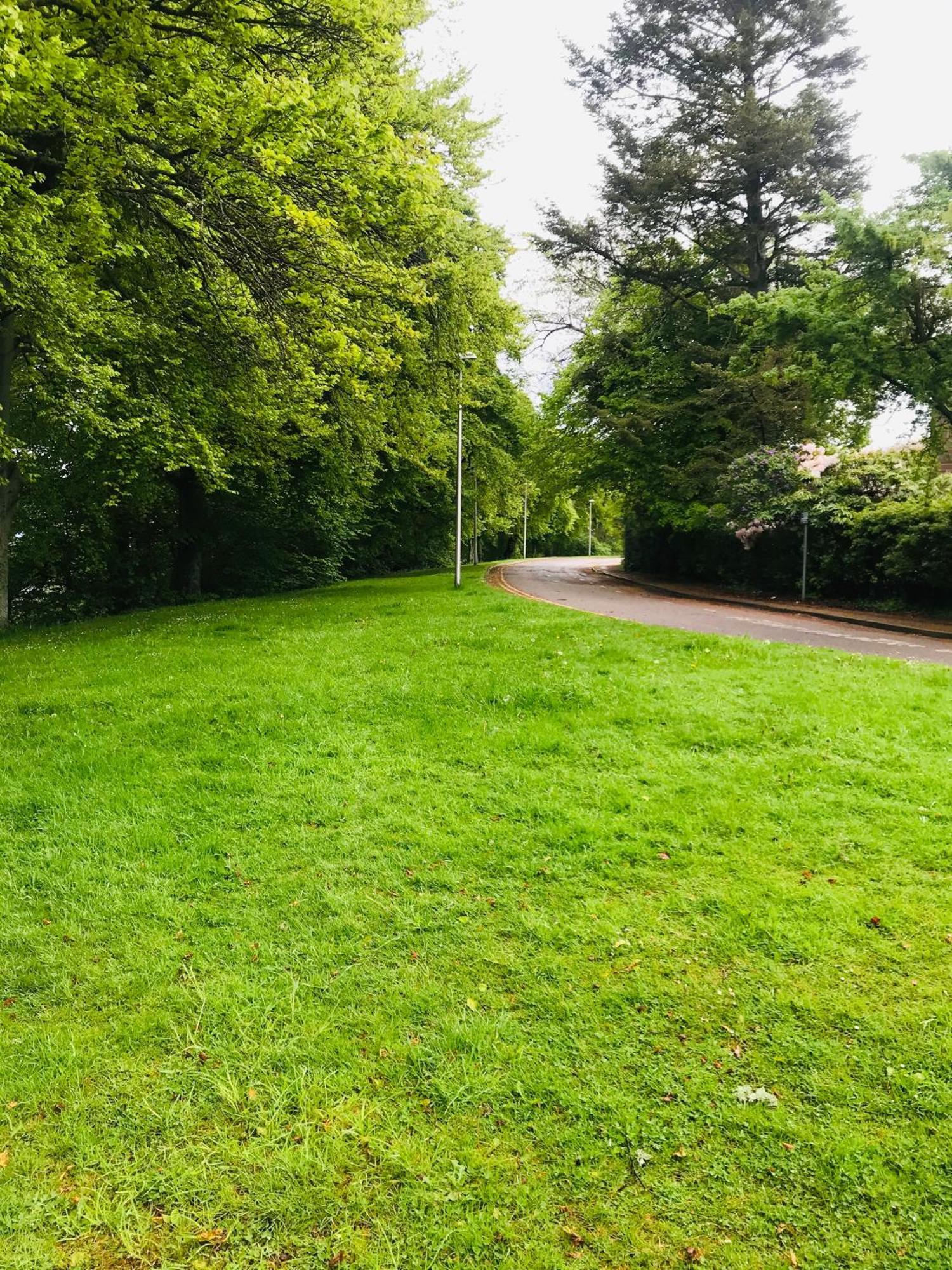 Quiet Garden With Free Parking Apartment