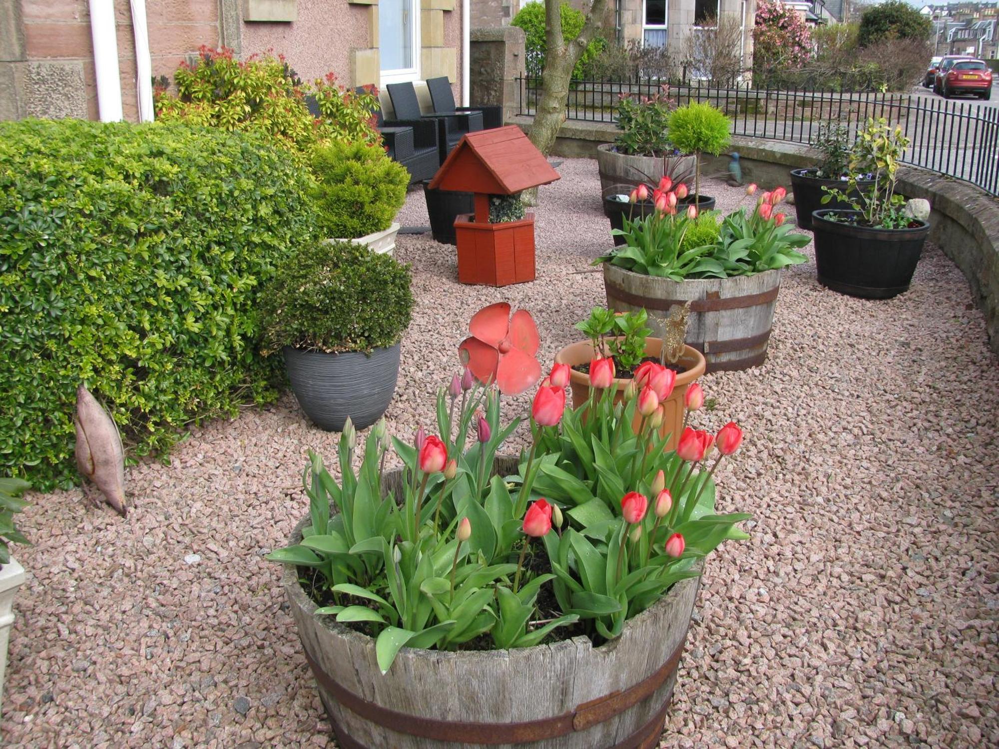 Fairfield Townhouse Casa de hóspedes Inverness