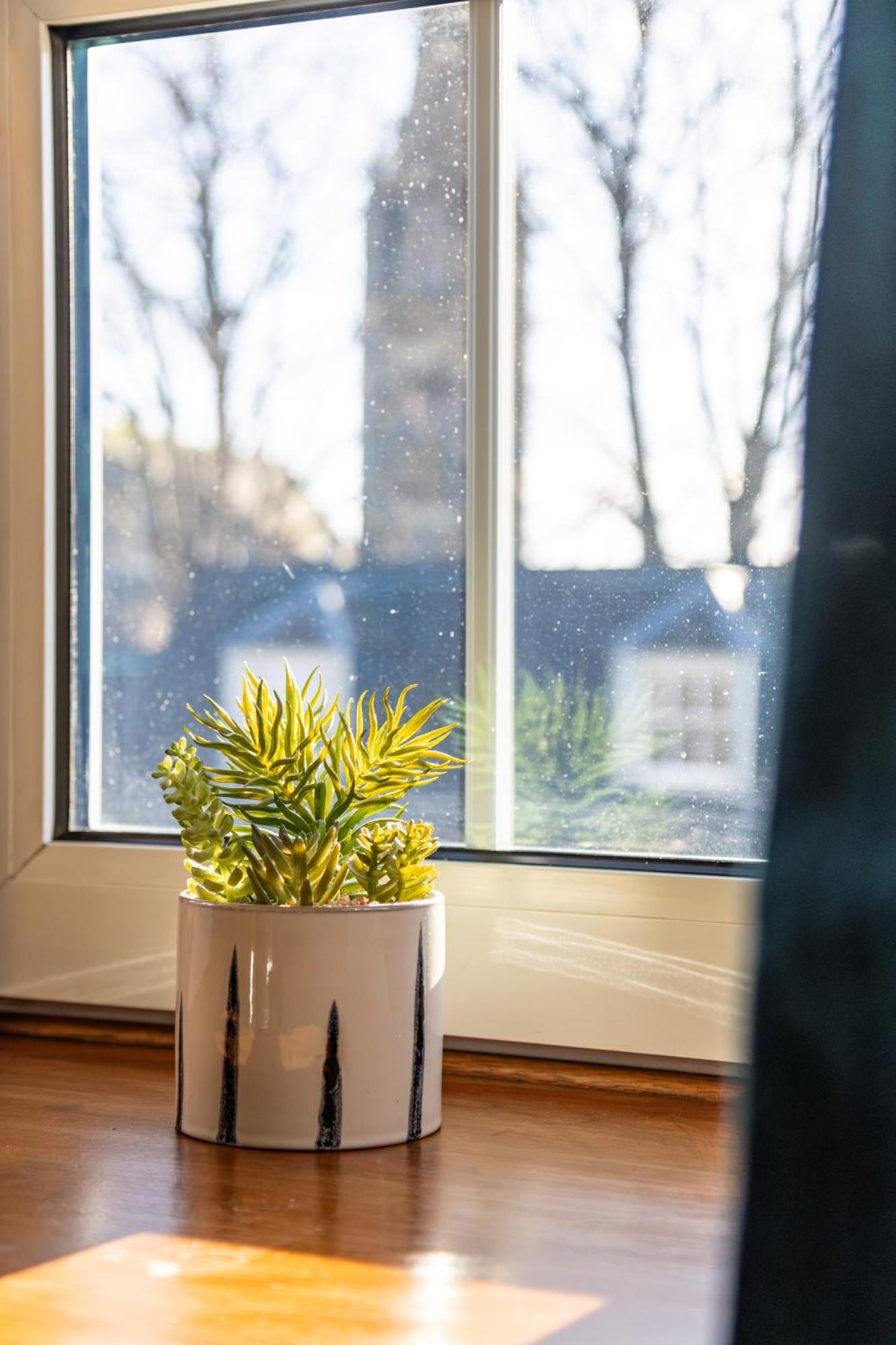 Apartment Thistle Do Nessly