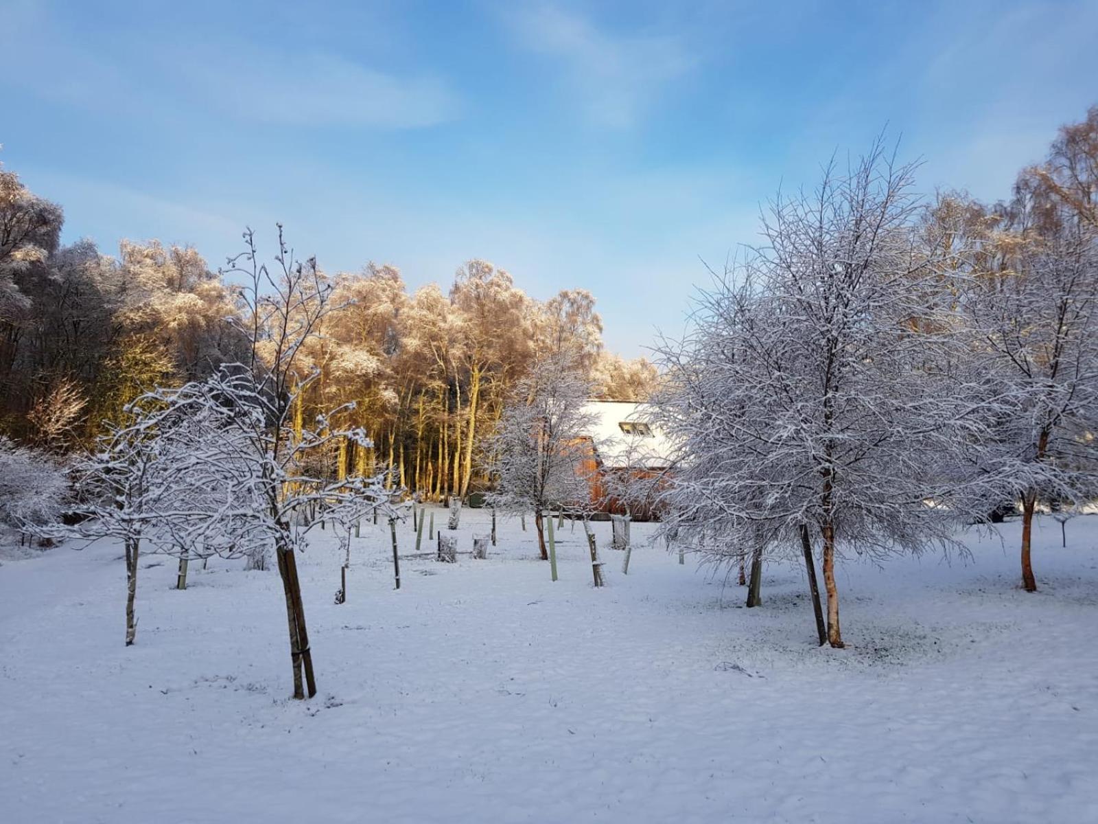 Holiday home At The Mains *