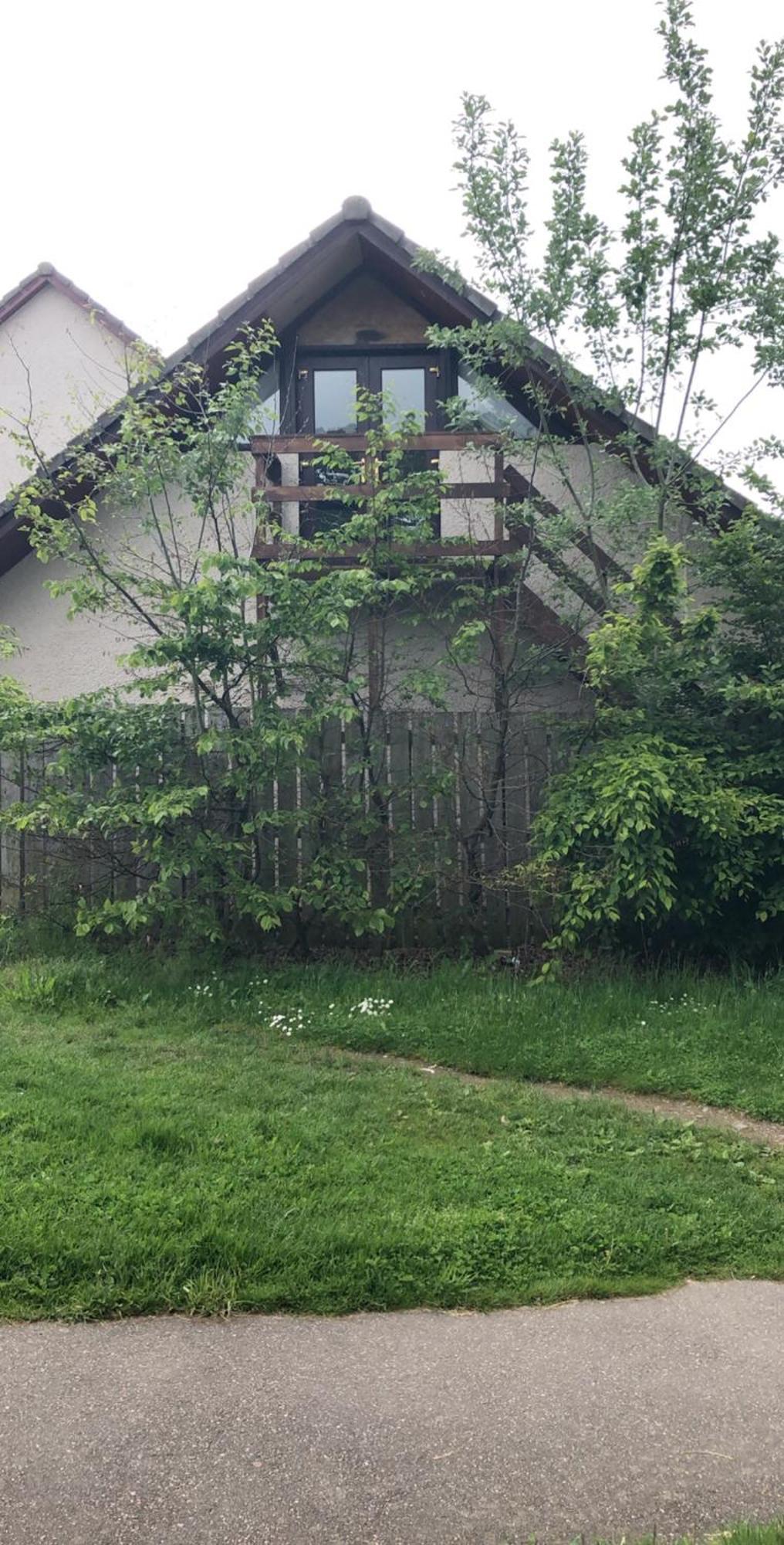 The Tree House