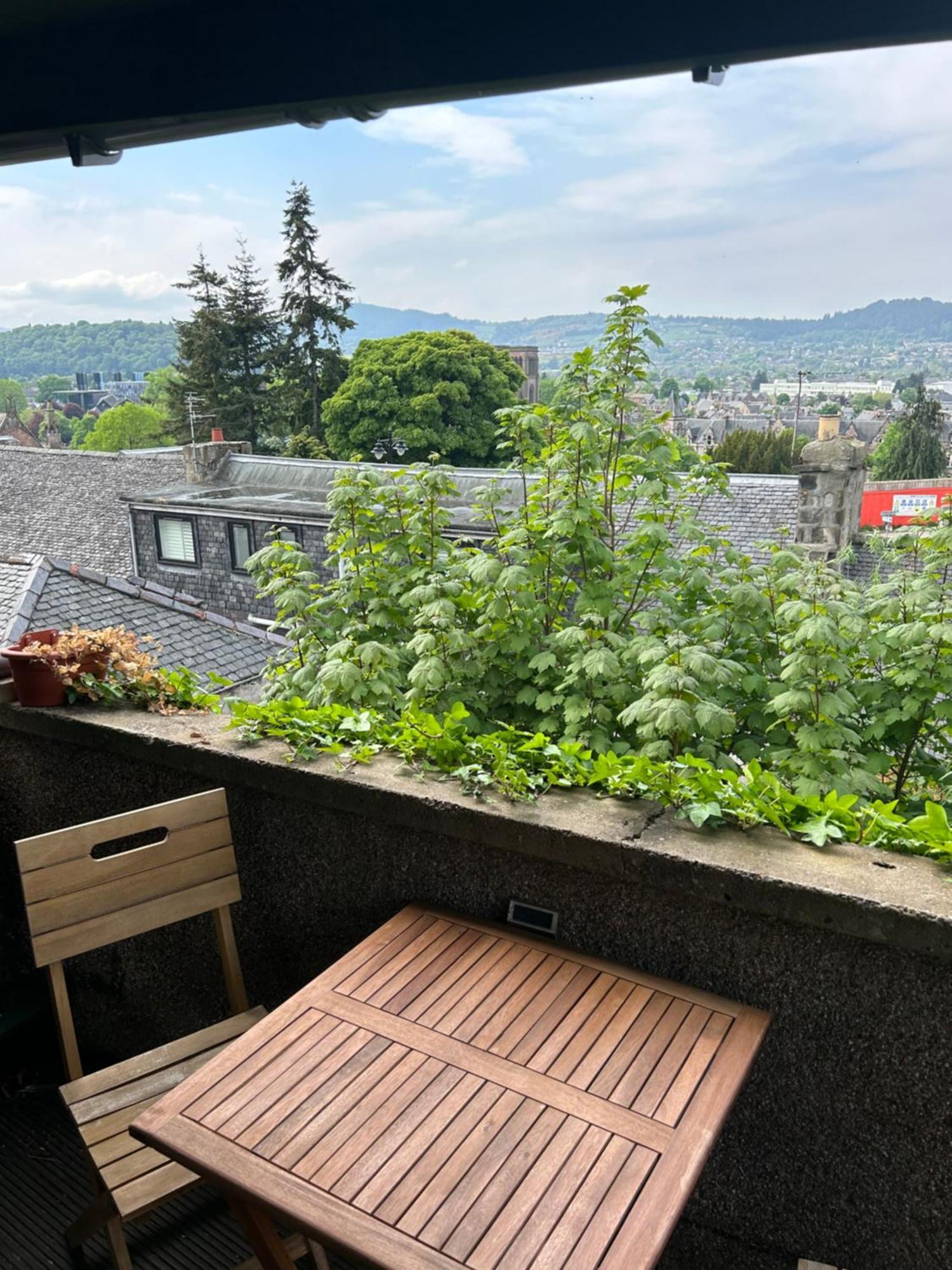 Floras View Apartment Inverness