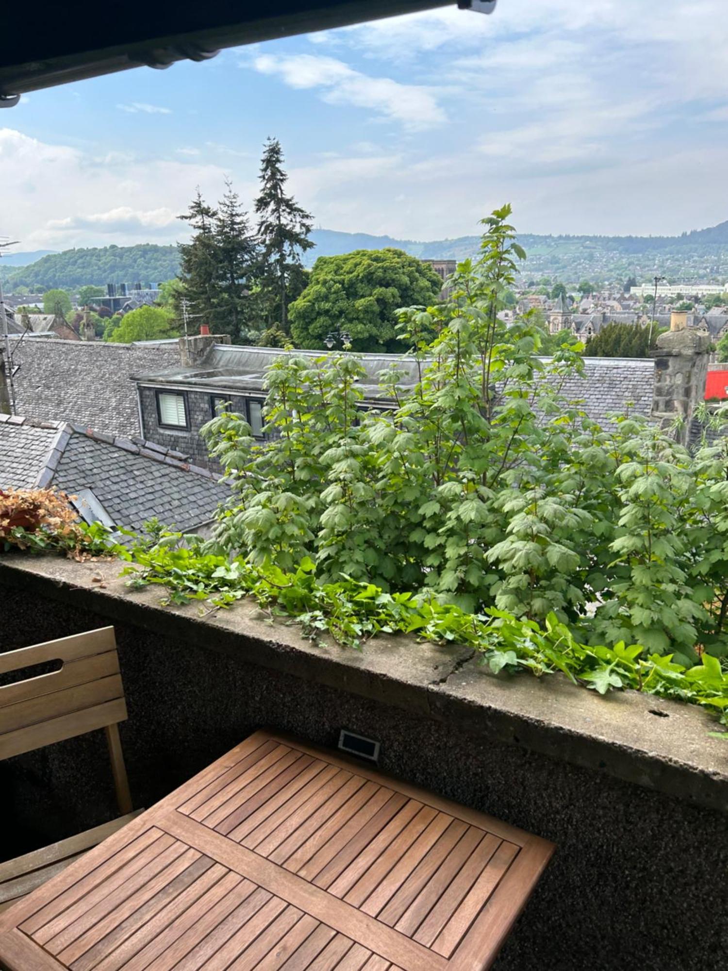 Apartment Floras View