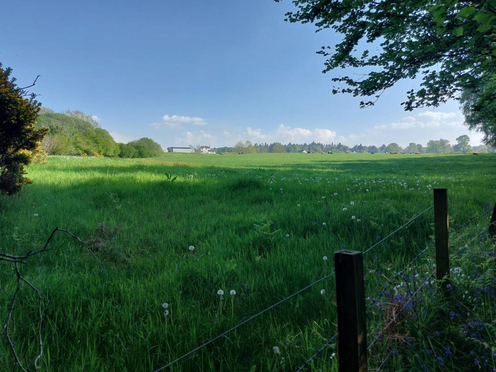 Treetops - Bright 2 Bed Flat - Super Location *