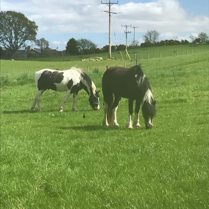 Highland Rural Farm Retreat,loch Ness, Nc500, Beauly Casa de férias