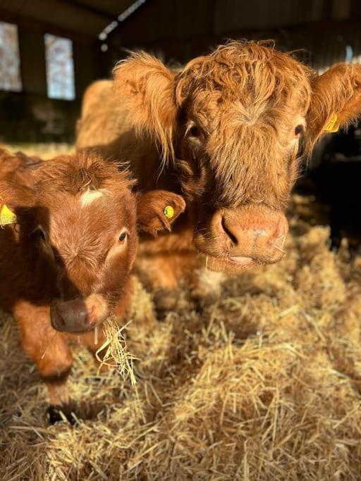 Highland Rural Farm Retreat,loch Ness, Nc500, Beauly Casa de férias