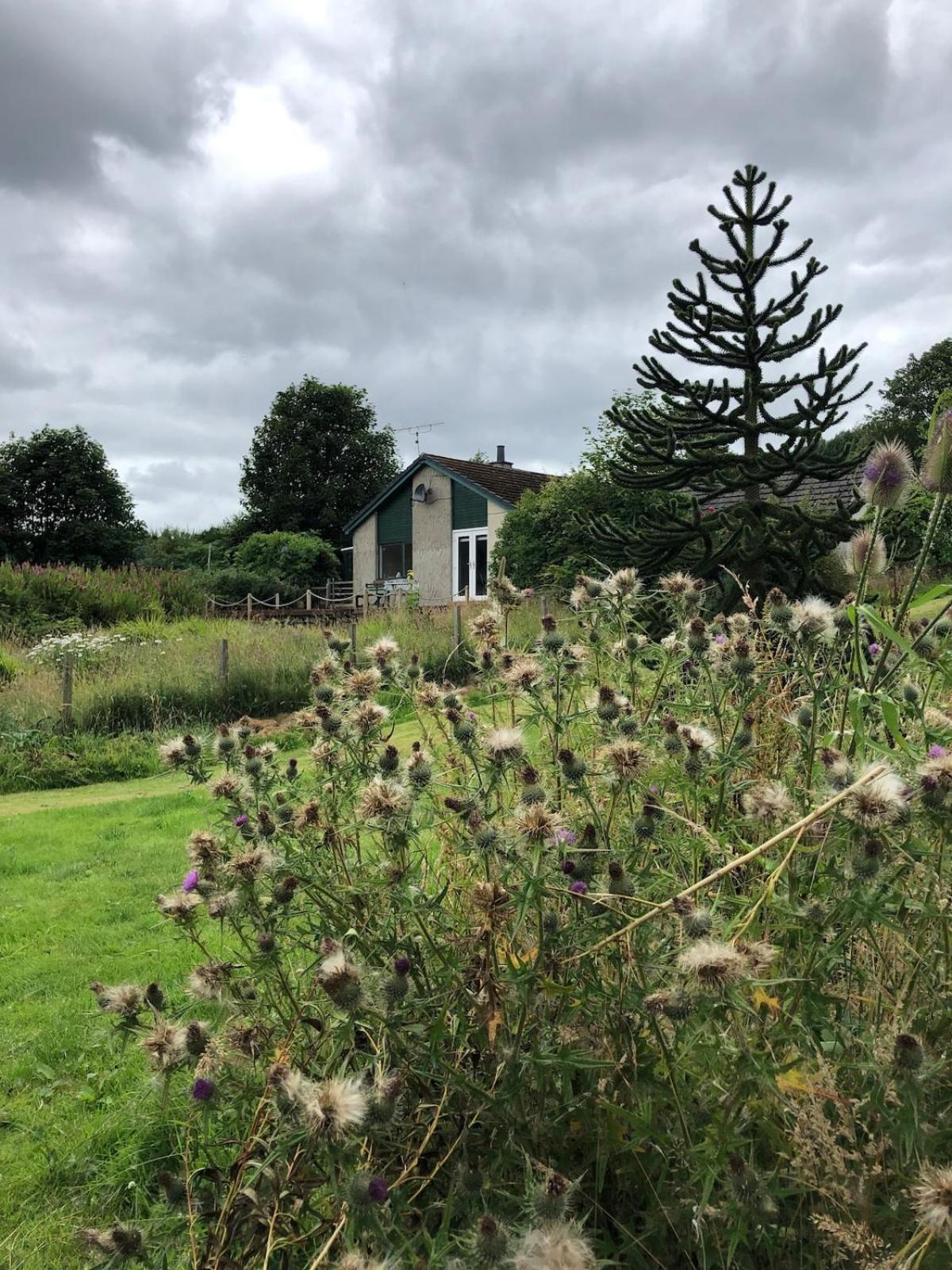 Canal Side Cottage,on The Banks Of The Caledonian Canal * Inverness