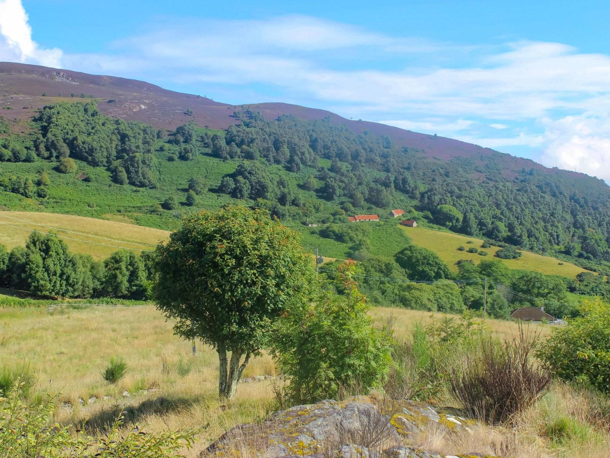 Mor Carraig, Inverness