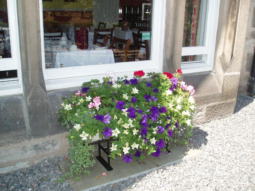 Guest house Strathness House Inverness