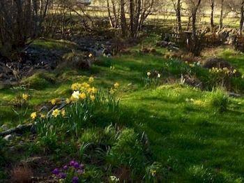 Graineag * Inverness