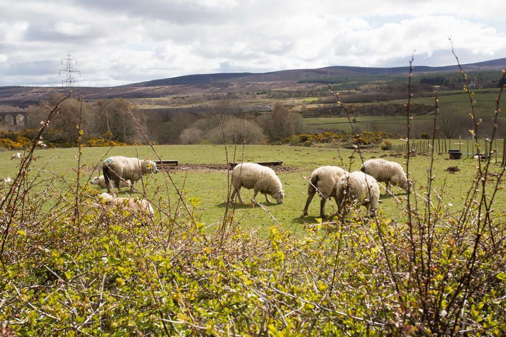 Acomodação com café da manhã  Leanach Farm Inverness