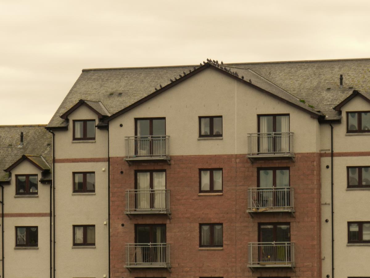 Penthouse Riverview * Inverness
