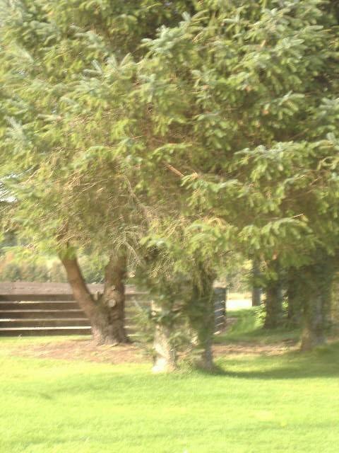 Bed & Breakfast Culbin Crofthouse Inverness