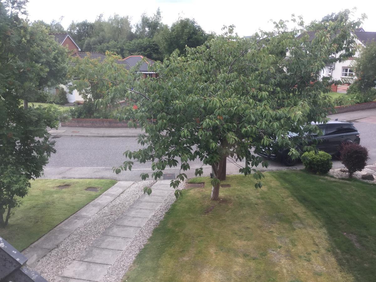 Apartamento Castle Heather House Free Parking Inverness