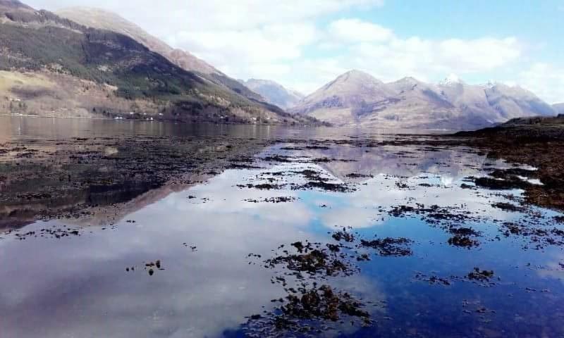 Toads Croak 4* Inverness