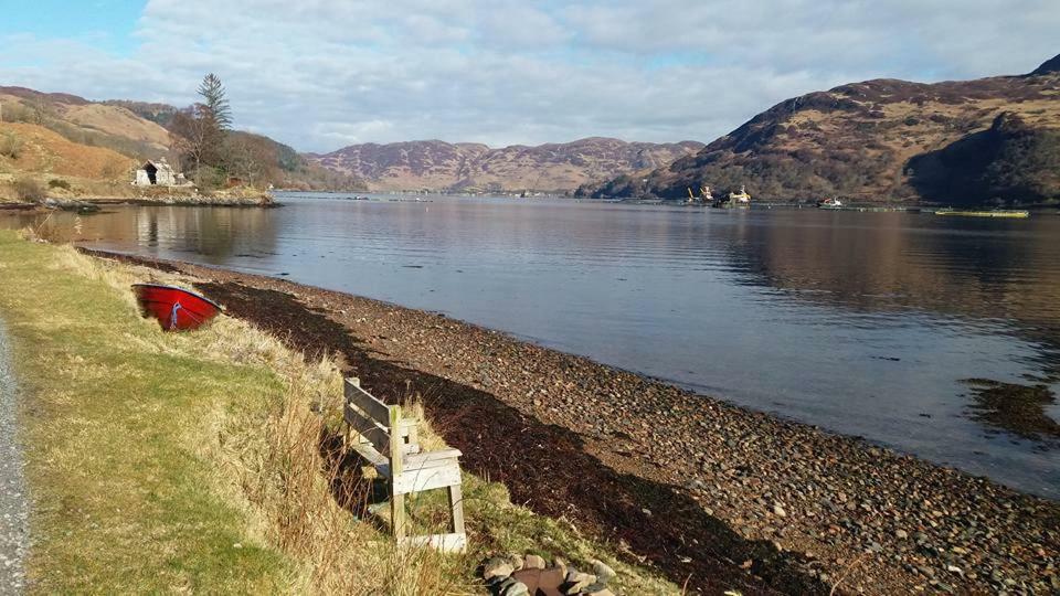 Toads Croak Bed & Breakfast Inverness