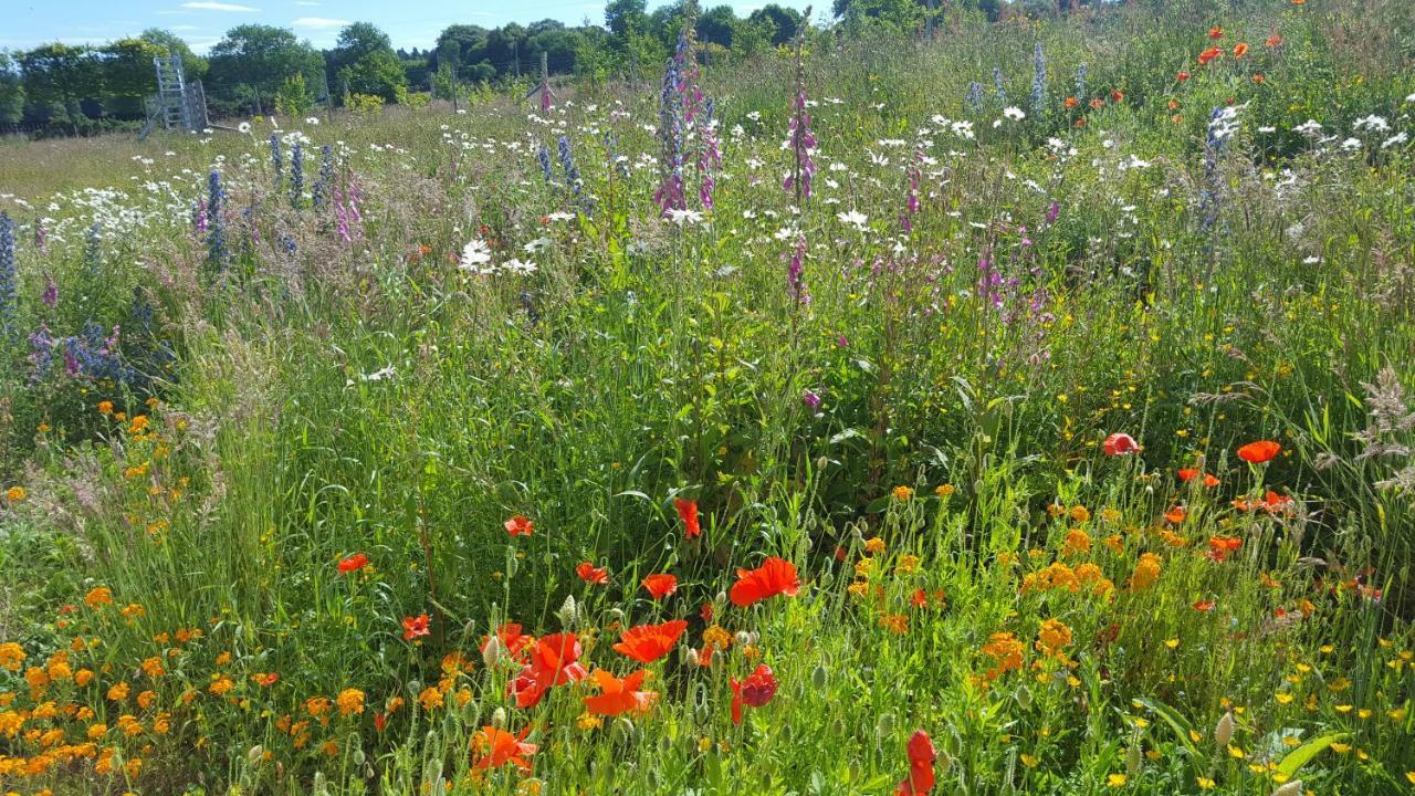 Wester Blackpark Farm *